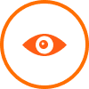 vision